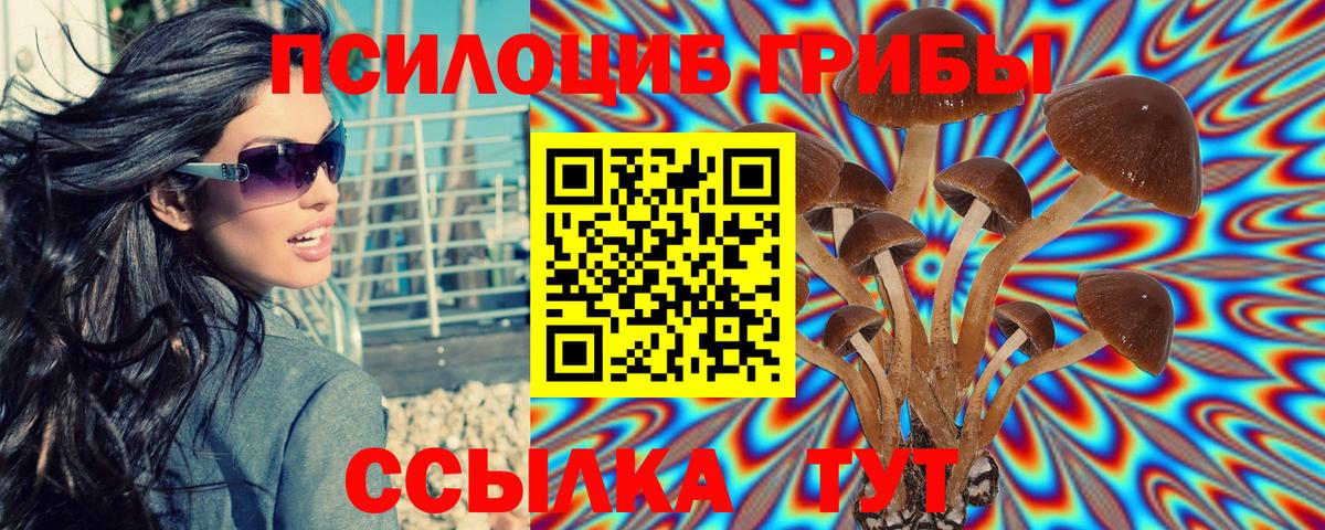 Псилоцибиновые грибы Psilocybe  Вход с VPN  Галлюциногенные грибы прущие грибы  Шарыпово 